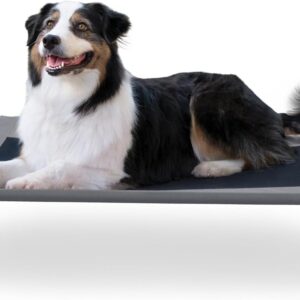 K&H Pet Products Dog Cots Beds for Large Dog